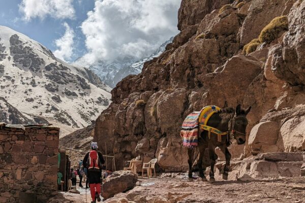 High Atlas Mountains & 3 Valleys Day Trip from Marrakech | Private Full-Day Tour